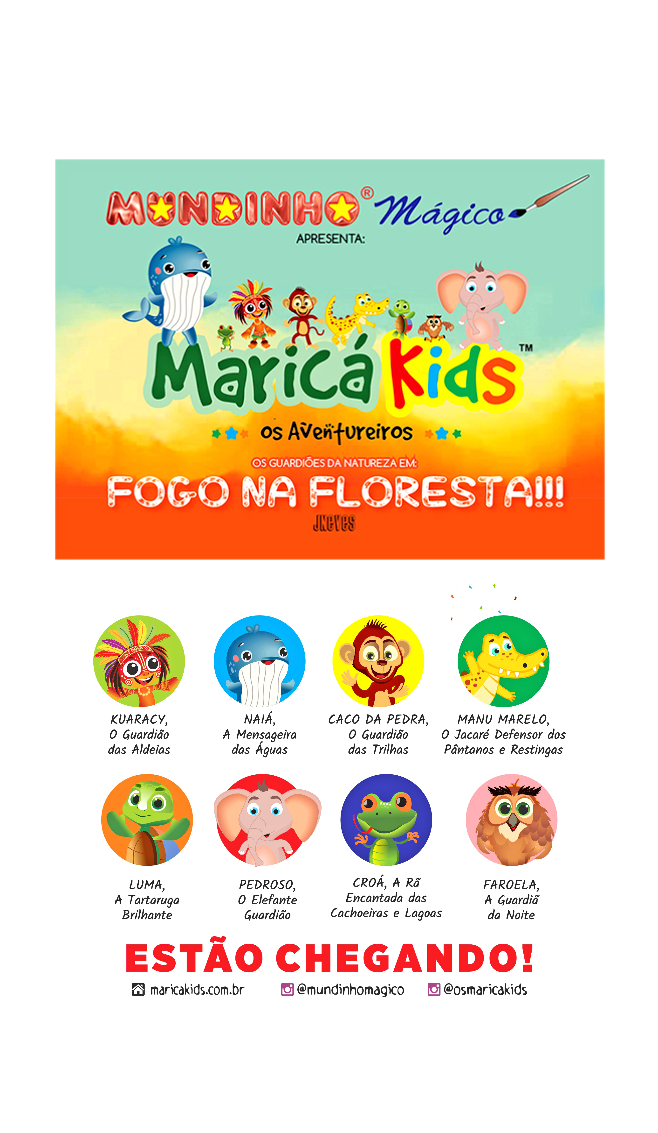 Livro do Autor 2